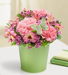 Garden Bouquet Davis Floral Clayton Indiana from Davis Floral