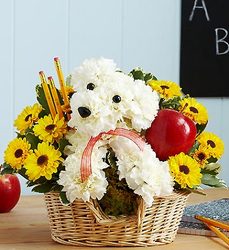 Teacher's Pet Davis Floral Clayton Indiana from Davis Floral