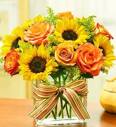 Modern Enchantment <br> for Fall Davis Floral Clayton Indiana from Davis Floral