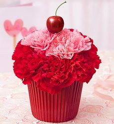 Cupcake in Bloom Davis Floral Clayton Indiana from Davis Floral