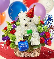 Another Year Rover Davis Floral Clayton Indiana from Davis Floral