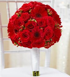 All Red Bridal Bouquet Davis Floral Clayton Indiana from Davis Floral