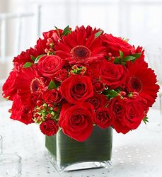 All Red Centerpiece Davis Floral Clayton Indiana from Davis Floral