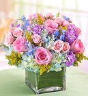 Spring Centerpiece Package Davis Floral Clayton Indiana from Davis Floral