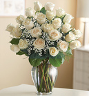 Two Dozen White Roses <BR>for Sympathy Davis Floral Clayton Indiana from Davis Floral