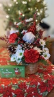 Gnome For The Holidays Davis Floral Clayton Indiana from Davis Floral
