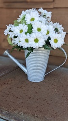 Dashing Daisy Watering Can Davis Floral Clayton Indiana from Davis Floral