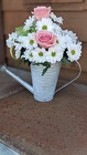 Dashing Daisy and Rose<br> Watering Can Davis Floral Clayton Indiana from Davis Floral