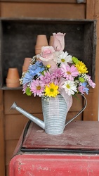 Bright Dashing <br> Daisy Watering Can With Roses Davis Floral Clayton Indiana from Davis Floral