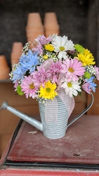 Bright Dashing Daisy<br>Watering Can Davis Floral Clayton Indiana from Davis Floral