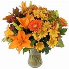 Autumn Gathering Davis Floral Clayton Indiana from Davis Floral