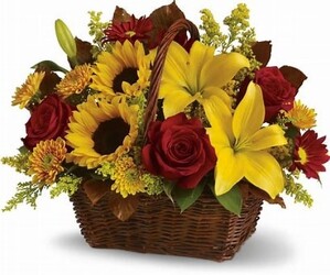 Fall Festival Basket Davis Floral Clayton Indiana from Davis Floral