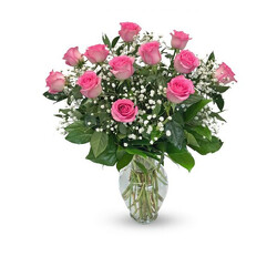 Rose Elegance<br>Premium Long Stem<br>Pink Roses Davis Floral Clayton Indiana from Davis Floral
