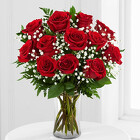 Rose Elegance <br>Premium Dozen Red <br> Long Stem Roses  Davis Floral Clayton Indiana from Davis Floral