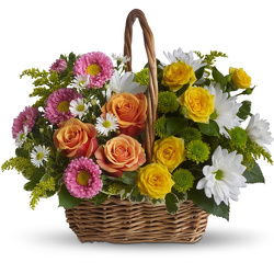 Sweet Tranquility Basket Davis Floral Clayton Indiana from Davis Floral