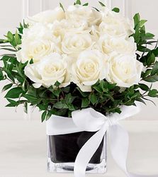 Pure Romance Rose Bouquet Davis Floral Clayton Indiana from Davis Floral