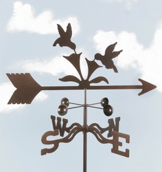 Hummingbirds Davis Floral Clayton Indiana from Davis Floral