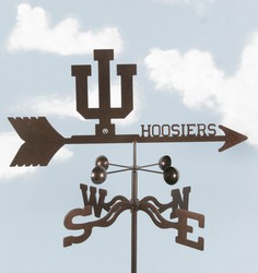 Indiana University Hoosiers!  Davis Floral Clayton Indiana from Davis Floral