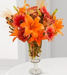 Harvest Horizon Bouquet Davis Floral Clayton Indiana from Davis Floral