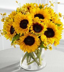 Sunshine Bouquet Davis Floral Clayton Indiana from Davis Floral