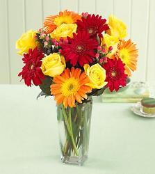 Best Wishes Rose<br> and Daisy Bouquet Davis Floral Clayton Indiana from Davis Floral