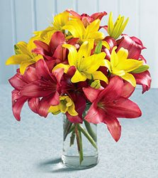 Hot Summer Sights Lily Bouquet Davis Floral Clayton Indiana from Davis Floral