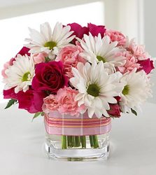 Sweet Surprises Davis Floral Clayton Indiana from Davis Floral