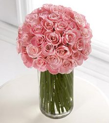 Perfection Davis Floral Clayton Indiana from Davis Floral