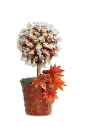 The Autumn Truffle Topiary Davis Floral Clayton Indiana from Davis Floral