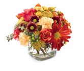 Dreamy Days Bouquet Davis Floral Clayton Indiana from Davis Floral