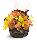 Sensational Splendor Basket Davis Floral Clayton Indiana from Davis Floral