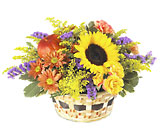Autumn Medley Basket Davis Floral Clayton Indiana from Davis Floral