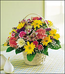 Simple Pleasures Davis Floral Clayton Indiana from Davis Floral