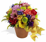 Fresh Blossom Potpourri Davis Floral Clayton Indiana from Davis Floral