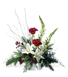 Winter Frost Davis Floral Clayton Indiana from Davis Floral