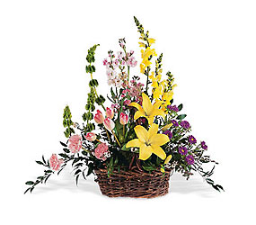 Spring Splendor Davis Floral Clayton Indiana from Davis Floral