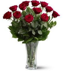 A Dozen Red Roses Davis Floral Clayton Indiana from Davis Floral