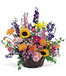 Summertime Sensation Basket Davis Floral Clayton Indiana from Davis Floral