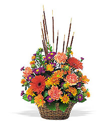 Fall Splendor Davis Floral Clayton Indiana from Davis Floral